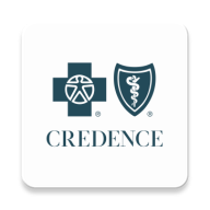 Logo Credence Systems Corp.